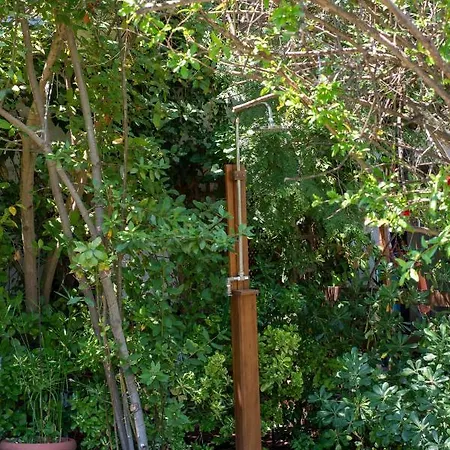 F & B Summer Collection - Kassandra - Fourka *