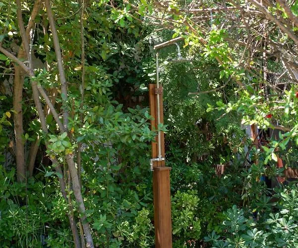 F & B Summer Collection - Kassandra - Fourka *